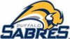 Sabres_element_view