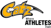 Catz--color-logo_element_view