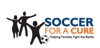 Soccerforacure_element_view