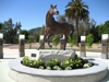 Sponsored by Cal Poly Sports Complex