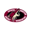 Sponsored by Phoenix Jr Coyotes 