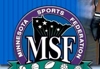 Msf_element_view