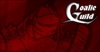 Goalieguildnewheader1_element_view