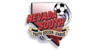 Nvsysl_logo_element_view