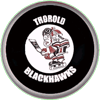 Thorold_element_view