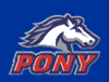 Pony_element_view