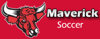 Mav_soccer_element_view