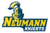 Large_knights_primary_cmyk_element_view