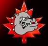 Sponsored by HALTON HILLS BULLDOGS