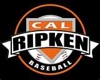 Sponsored by Cal Ripken Baseball