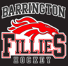 Sponsored by Barrington Fillies
