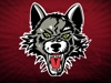 Sponsored by Chicago Wolves