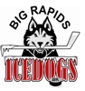 Sponsored by Big Rapids Hockey