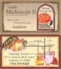 Lindo_michoacan_element_view