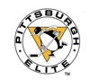 Pittsburg_elite_element_view