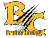 Sponsored by Battle Creek Ice Hockey Association