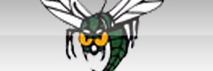 Away Team Logo