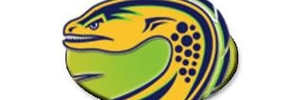 Away Team Logo