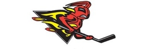 Away Team Logo