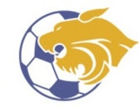 Wildcatslogo08_medium