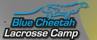 Blue_chetah_medium