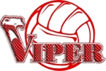 Viper_vb2_small