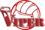 Viper_vb2_00_small