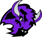 Buffalo_hockey_logo_small