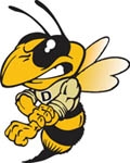 Denisonyellowjacket150_small