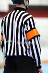 Ist2_2916007-hockey-referee_small