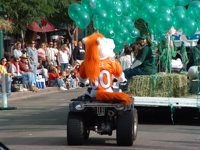 Dscf0018_medium