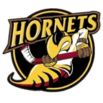 Hornets_remastered_1x1_small