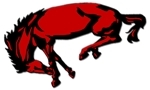 Bronco2_small_small