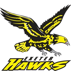 Hawk_front_logo_large
