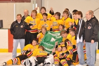Silver_stick_champs_medium