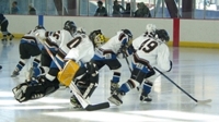 Skaters_medium