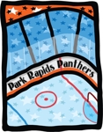 Ice-rink_small