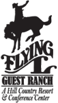 Flying_l_logo_small