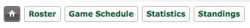 Minnesota_wild___northwest___western_conference___bhl___beau_hockey-9_large