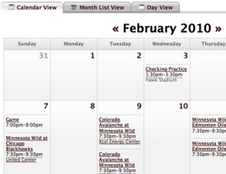 Calendar___beau_hockey-1_large