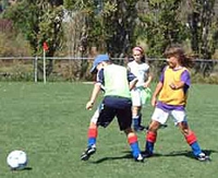Photo3_medium