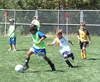 Photo4_medium