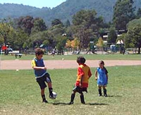 Photo5_medium