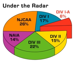 Pie-chart_large