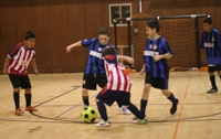 Wisl_pic_medium